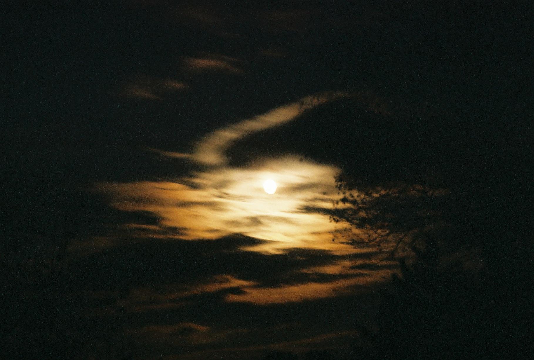 All hollows eve