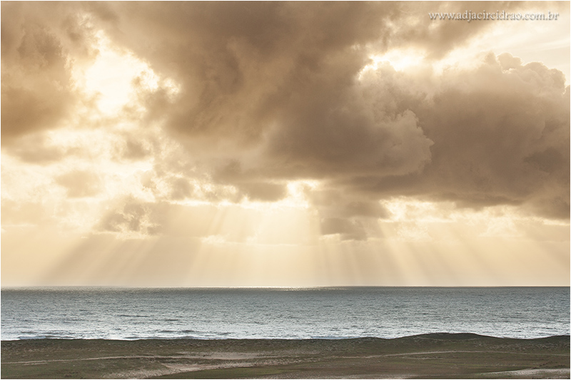 Transient Light