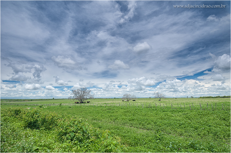 Vista verde da Fazenda