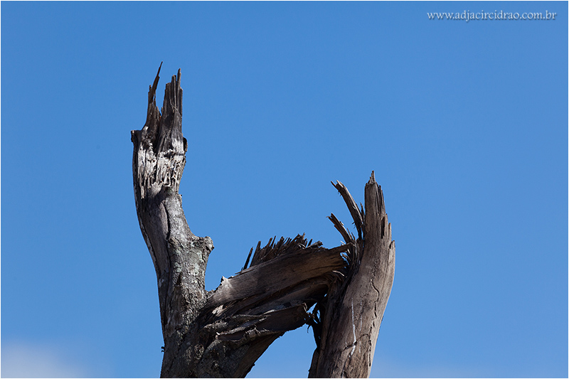 Natureza