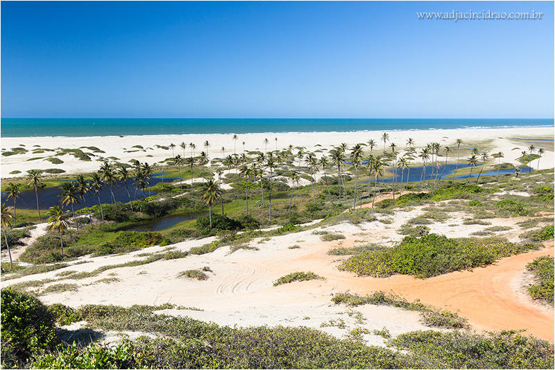 Barra Nova_MG_7253.JPG