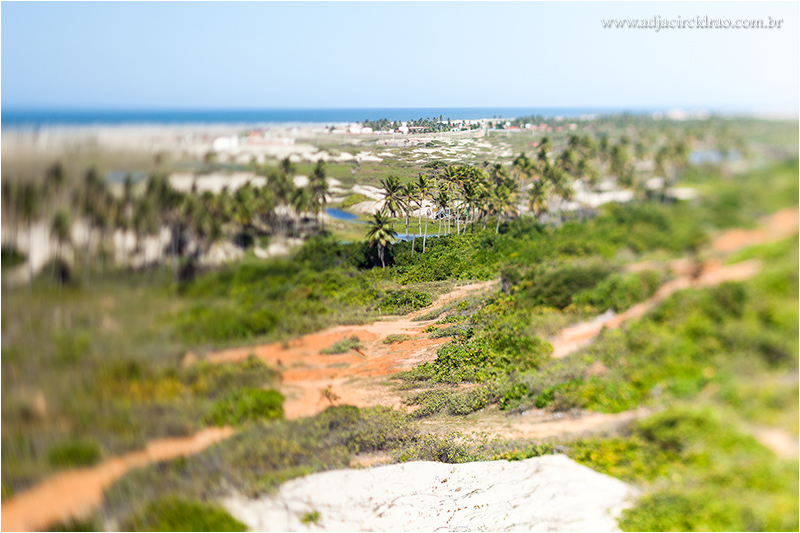 Barra Nova_MG_7262.JPG
