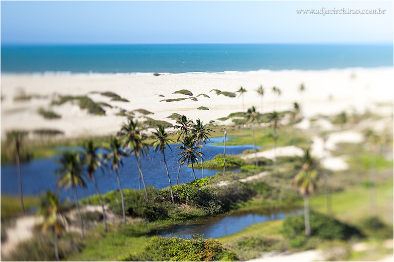 Barra Nova_MG_7263.JPG