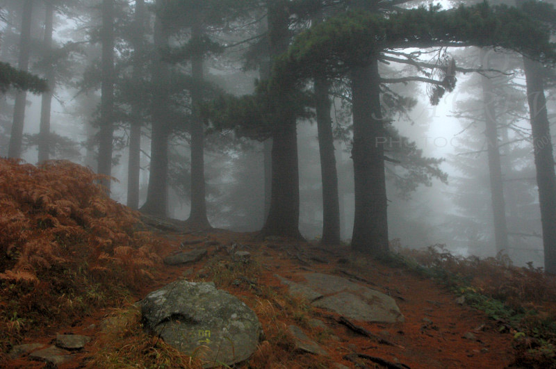 DSC_0026.jpg