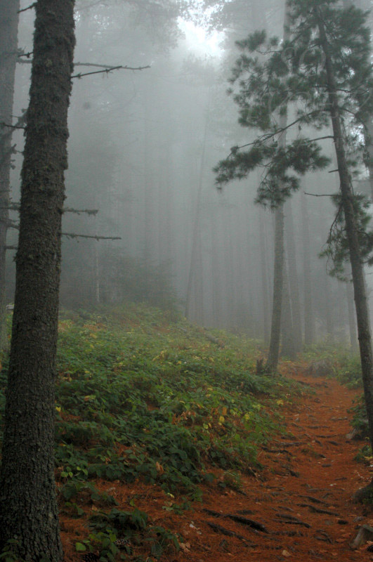 DSC_0055.jpg