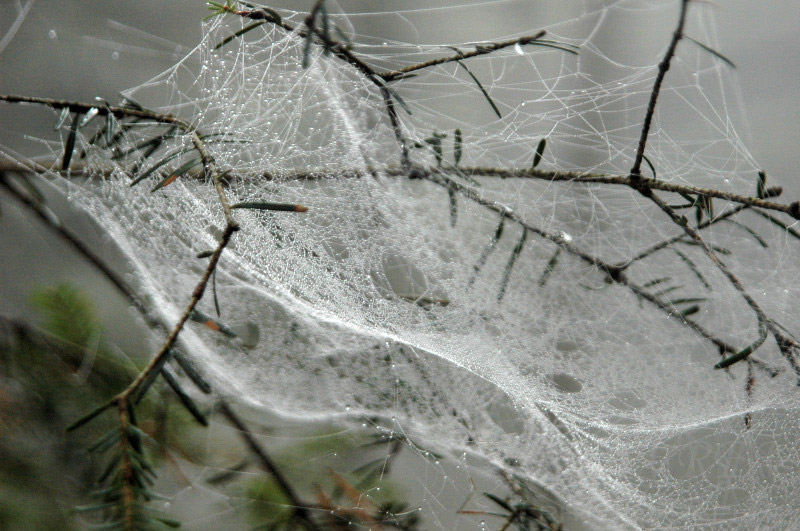 DSC_0099.jpg