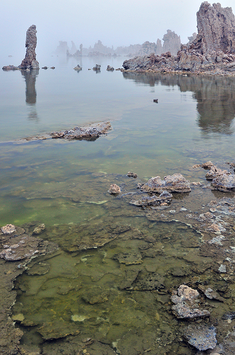 CA - Mono Lake - Foggy Green Waters