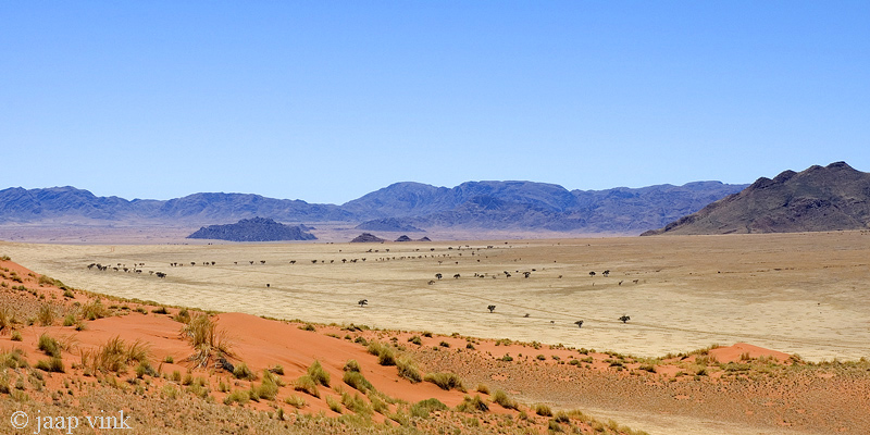 Desert - Woestijn
