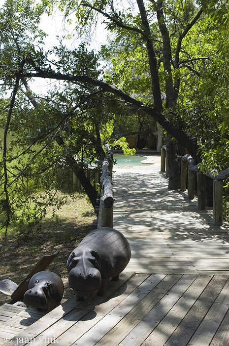 Xakanaxa Camp - Moremi Game Reserve