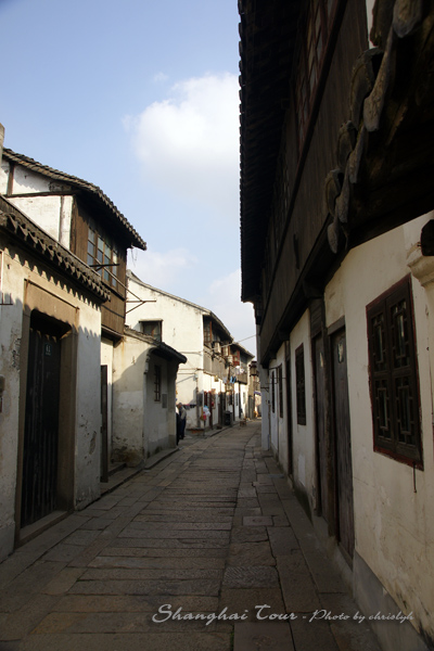 DSC01635.jpg