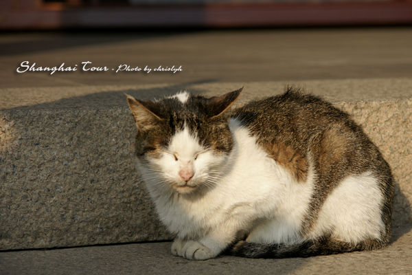 DSC01727.jpg