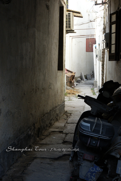 DSC01746.jpg