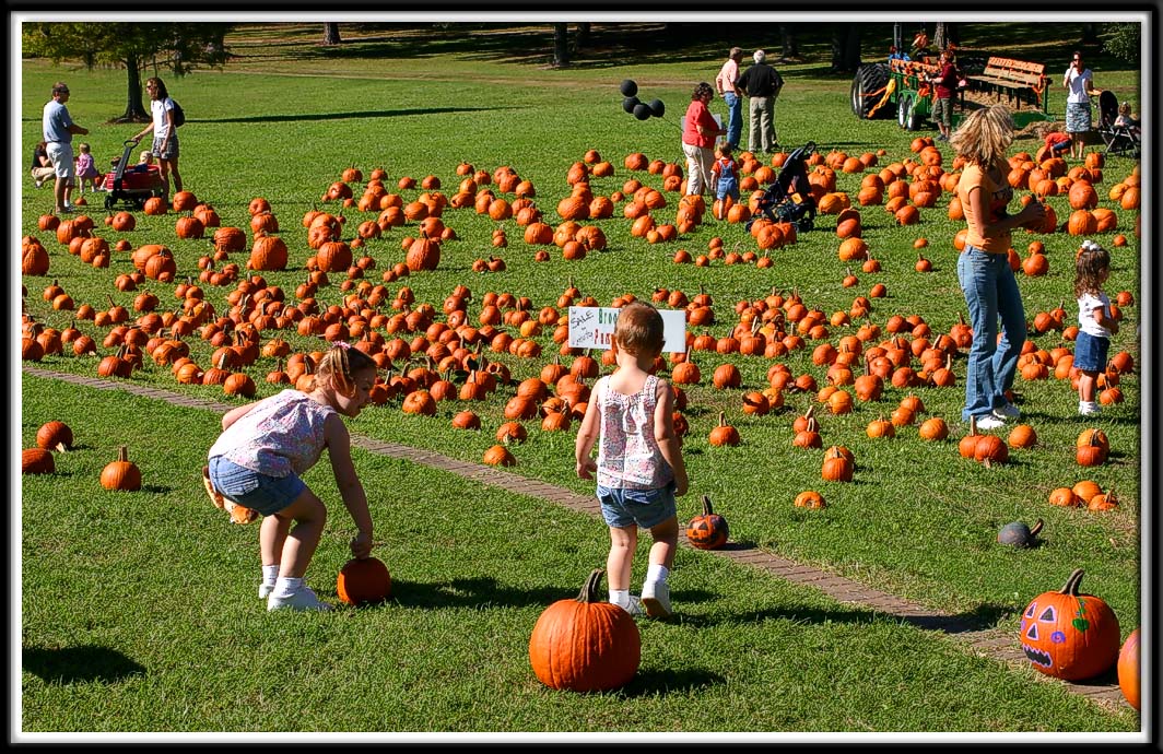 Noelle and Kylie pick out a pumpkin