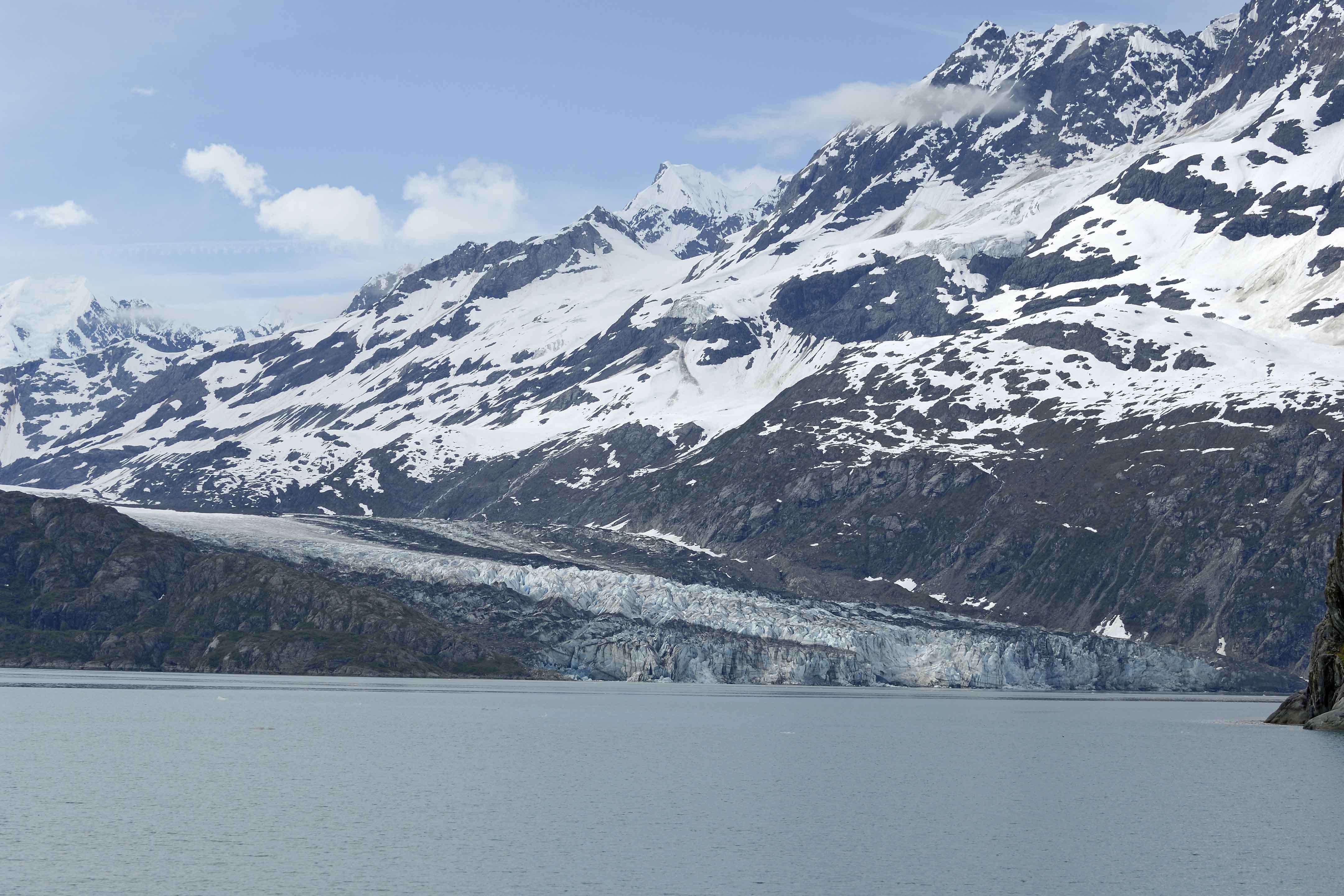 Lamplugh Glacier-070710-Glacier Bay NP, AK-#0909.jpg