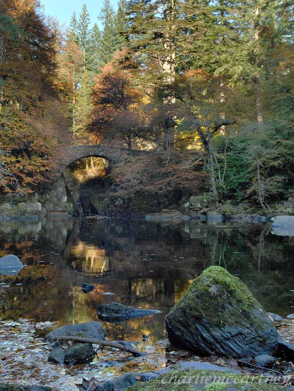 The Hermitage_DSC_4455.jpg