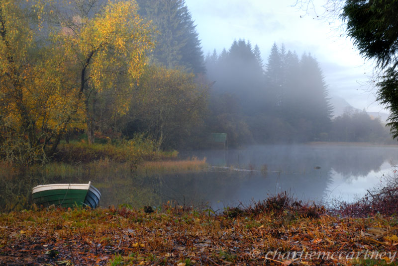 DSC_4654_1.jpg