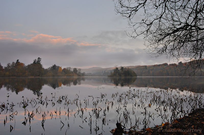  Loch of  Clunie_DSC_4977 .jpg