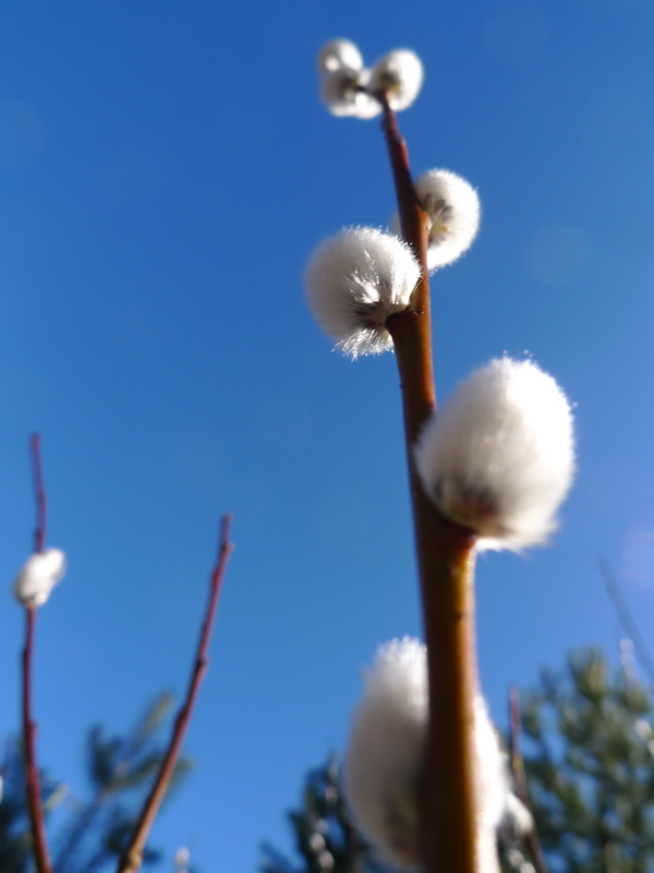 20120404