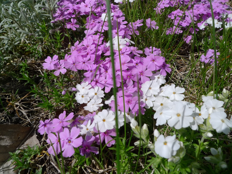 20120523
