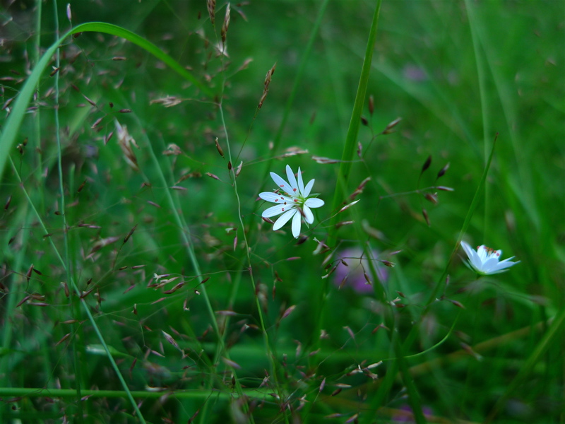 20120801