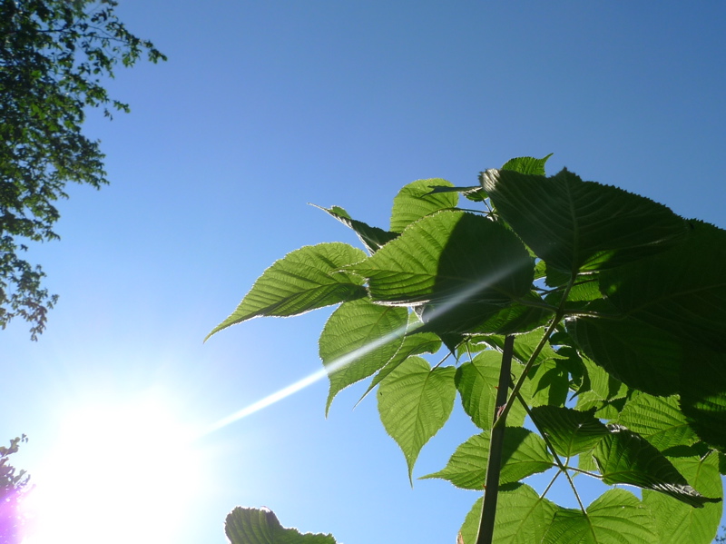 20120802