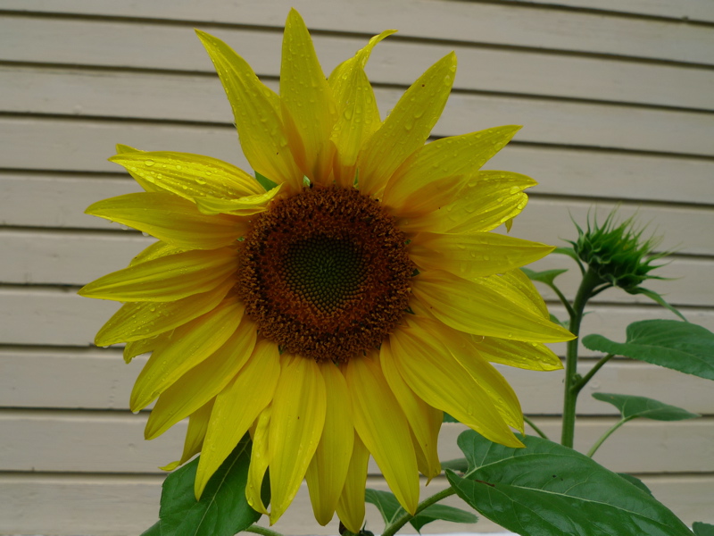 20120819