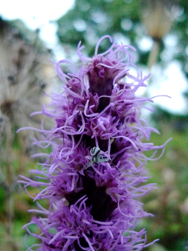 20120823