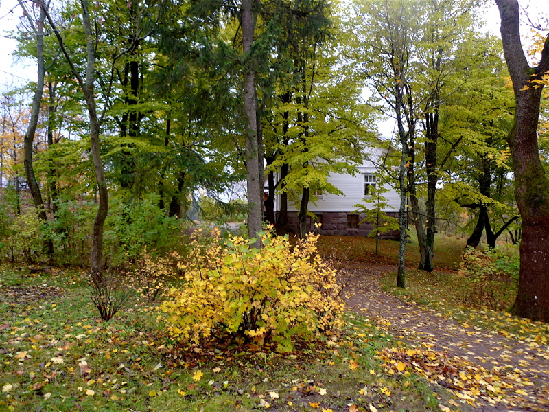 20121019