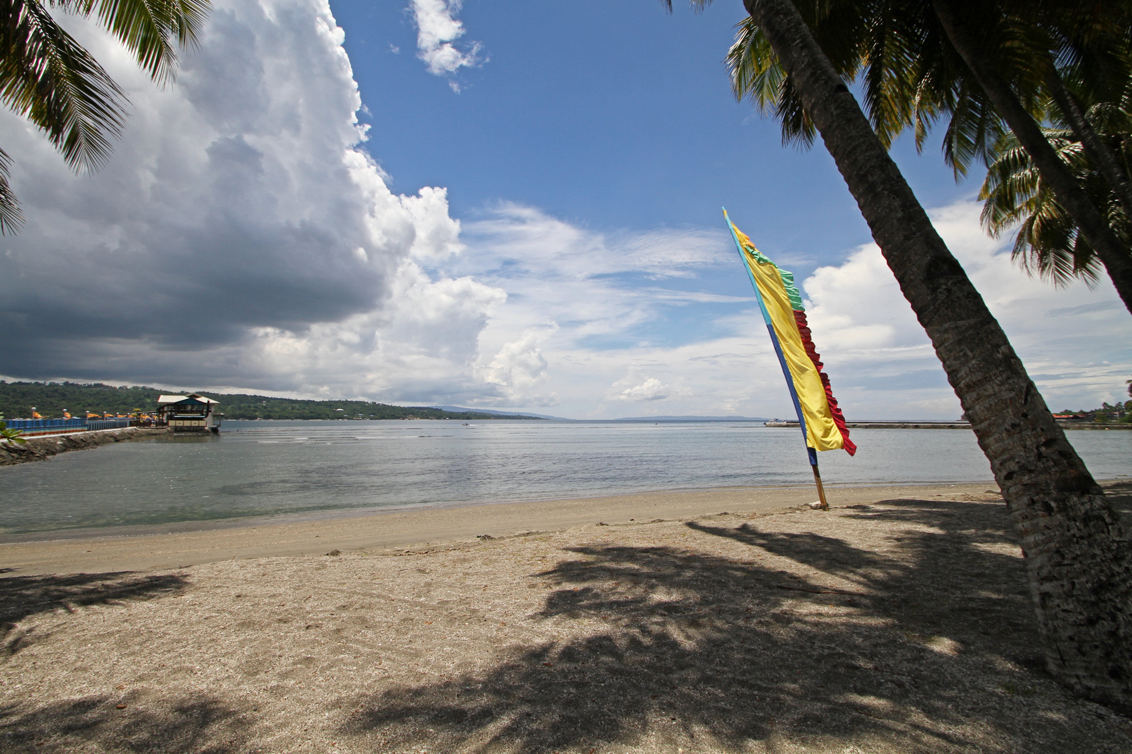 Davao Beachcombing.jpg