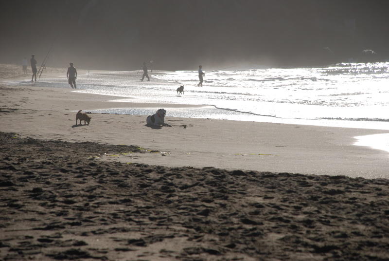 Baker Beach