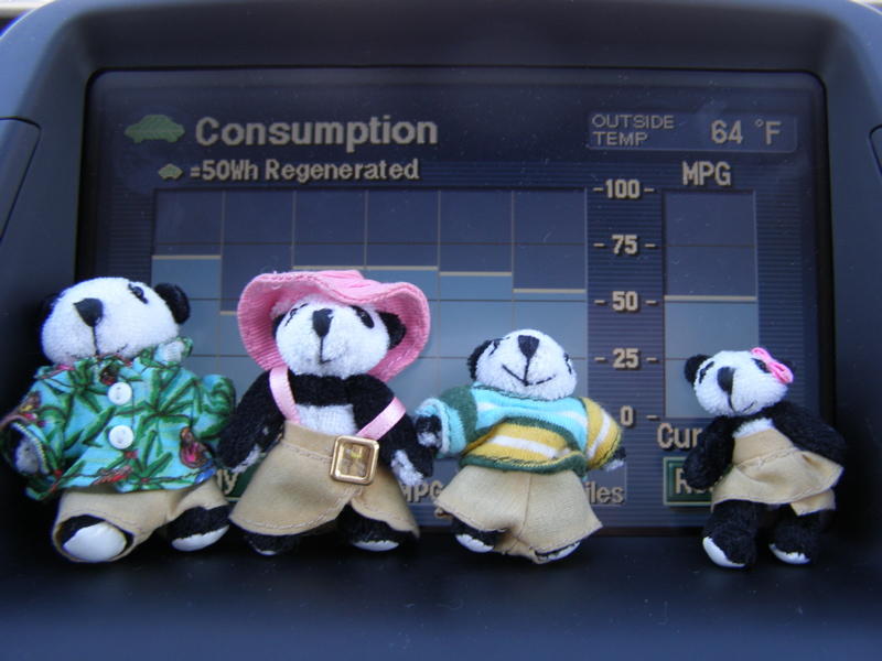The Pandafords in a Prius