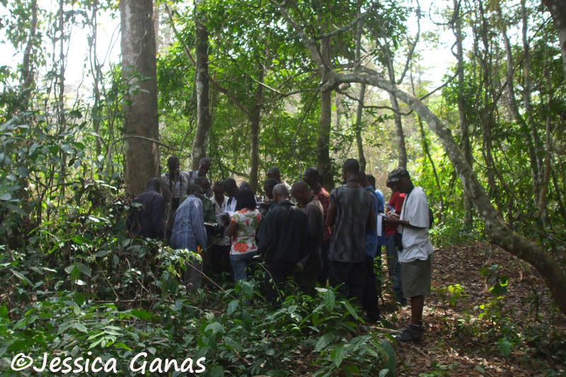 Gola Rainforest - Widlife research staff training workshop at Lalehun