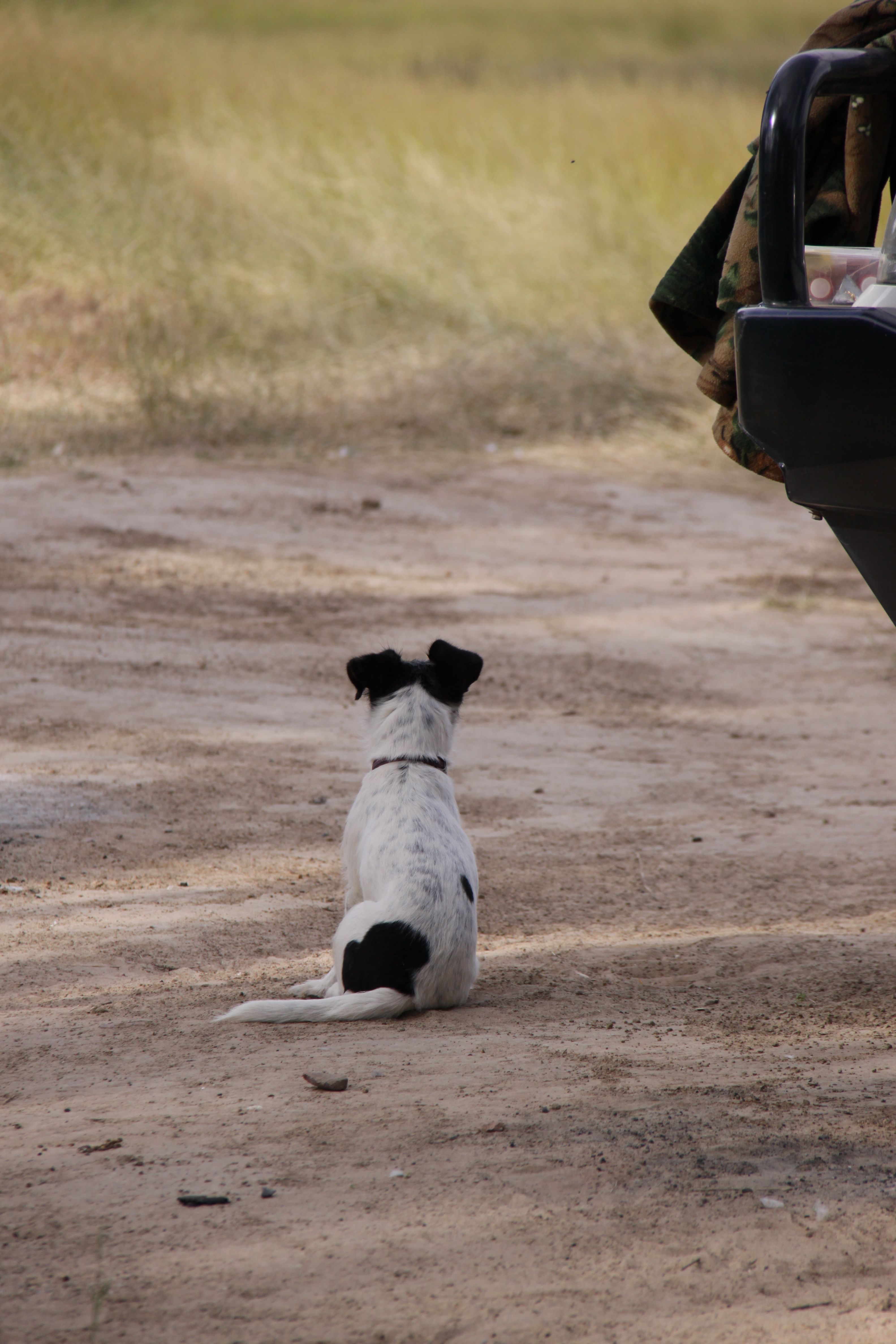 Guard Duty