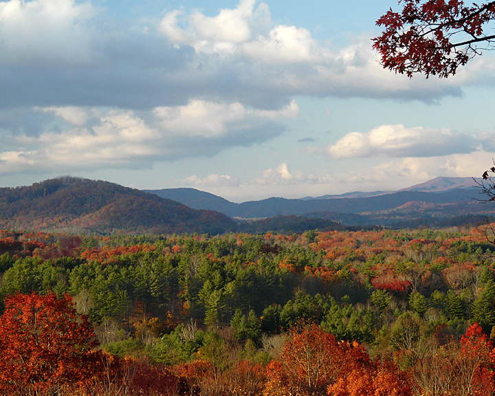 ANOTHER FALL MORNING IMAGE FROM THE DECK