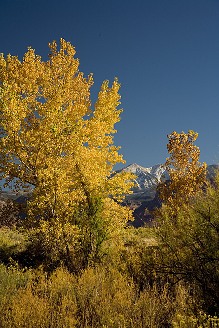 LaSalle Mtns. from Onion Creek