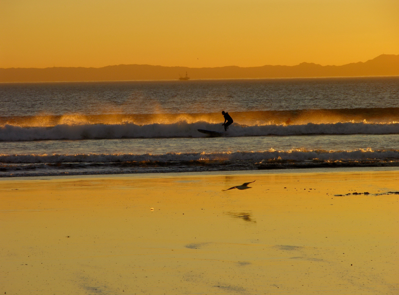 Evening Surfer