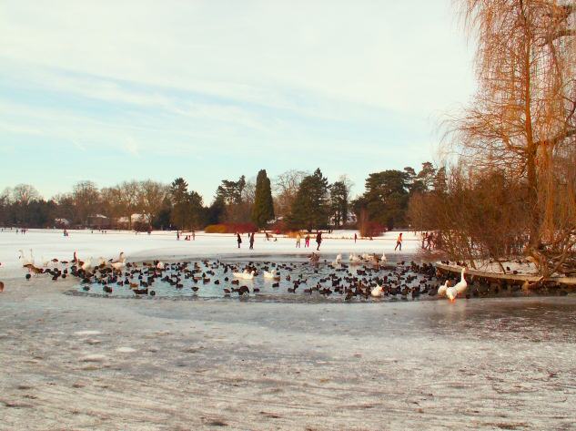 Tervueren... (11/1/2009)