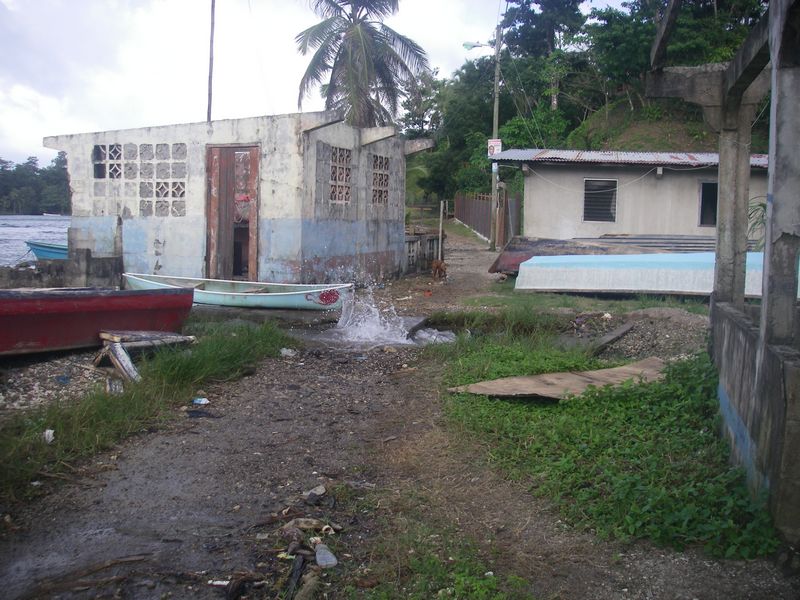 IMGP2178sm.JPG