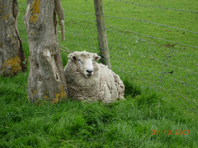 DSCN3257.JPG