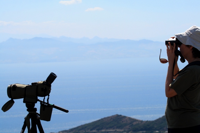 Birdwatcher looking at the raptor migration