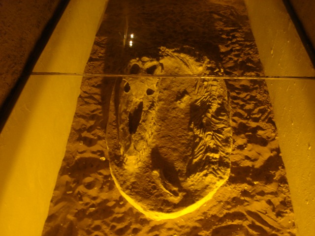 Fossil from a Crocodilian in one of the hotels in Boulamane Dades