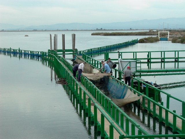 Pantena fishing system - Arte de pesca - Art de pesca