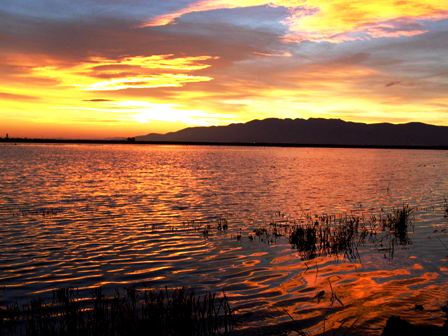 A sunset in Encanyissada - Puesta de sol en el Delte del Ebro - Posta de sol a la Encanyissada