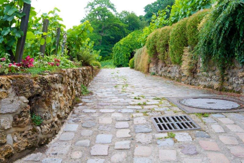 Un vignoble à Montmartre