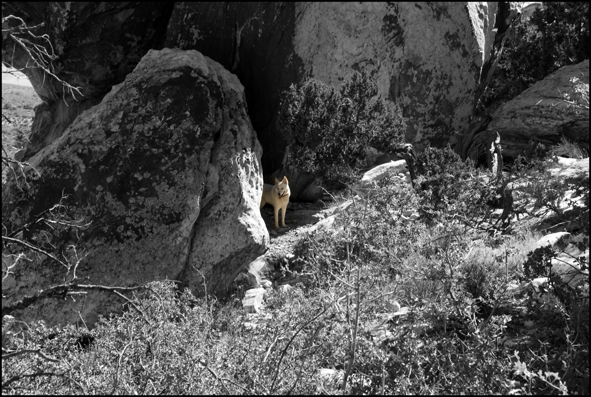 I found a cave