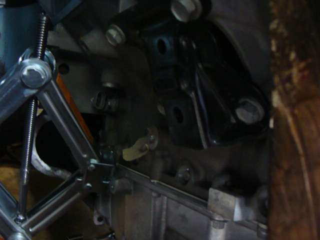 pictures 012.JPG