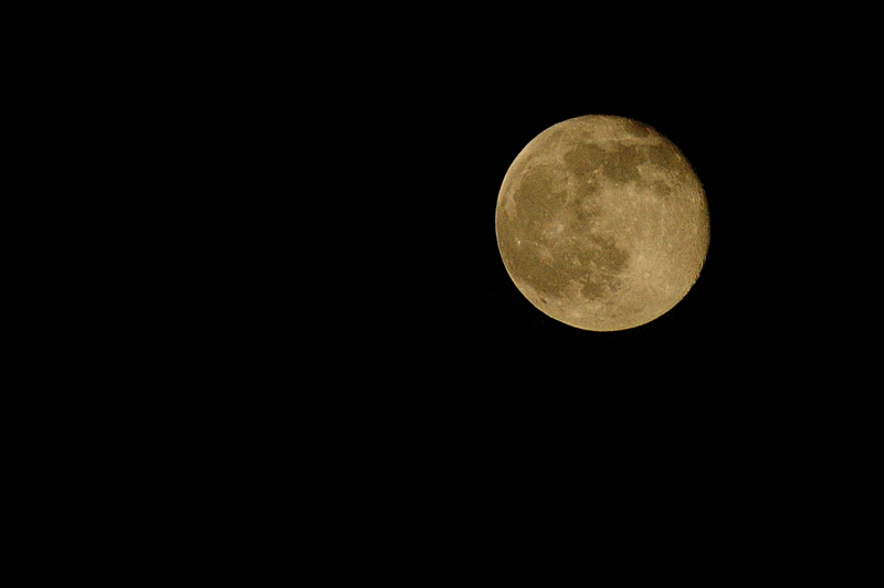 Moon Shot