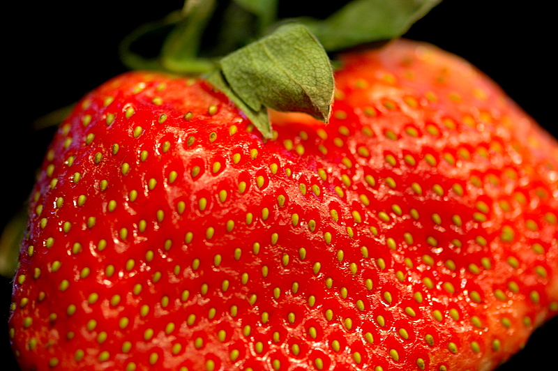Mega Strawberry