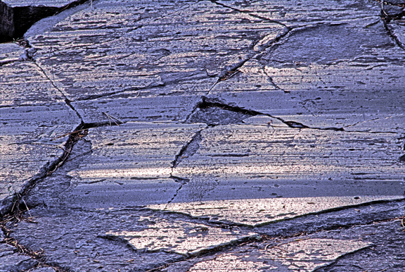 (AG4) Glacial polish, grooves, and striations, Devils Postpile, CA