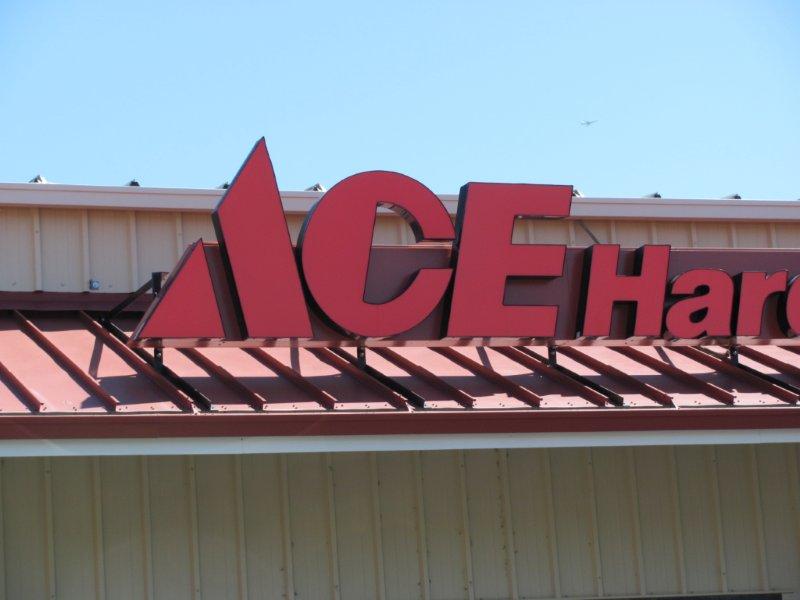 Sick Bird and Fixers Need an ACE.jpg